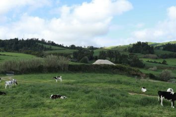 Foto: Unsplash/Jennifer Chen